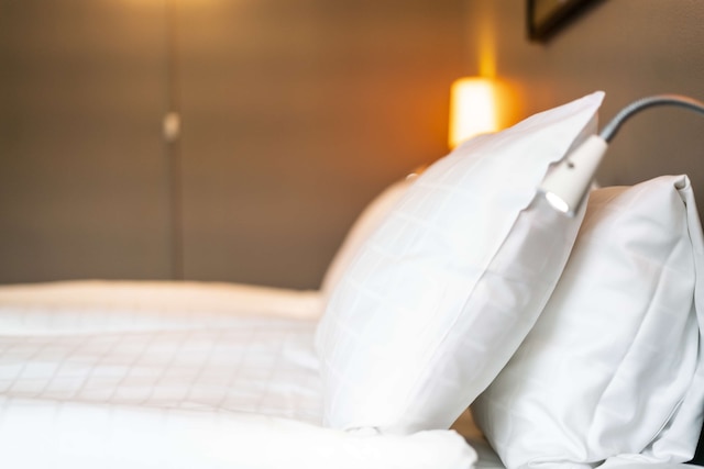 スカンディック ソドラ カジェン