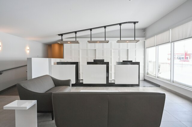 レポテル・レヴィス