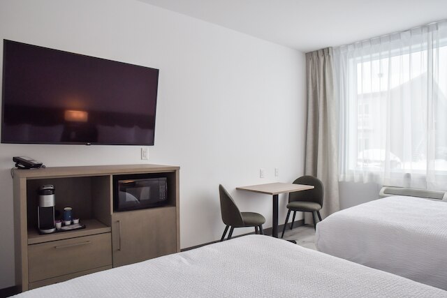 レポテル・レヴィス