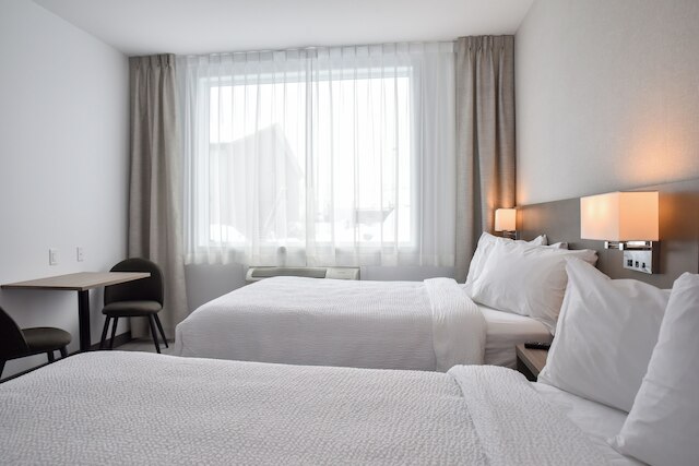 レポテル・レヴィス