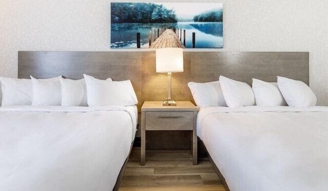 レポテル・レヴィス