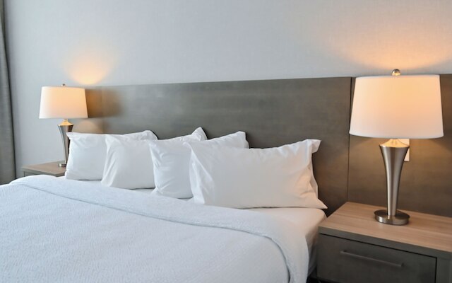 レポテル・レヴィス