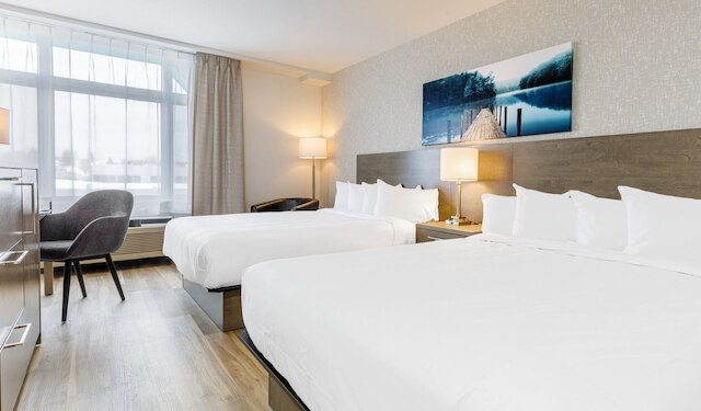 レポテル・レヴィス