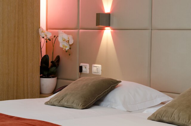 ゴールデン チューリップ オペラ ドゥ ノアイユ