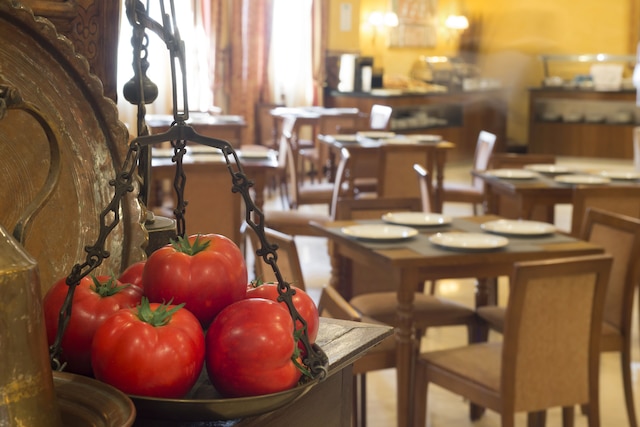 ユーロスターズ マイモーン ホテル