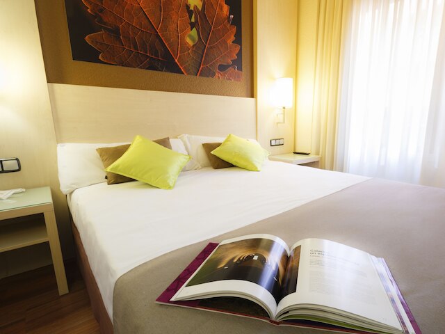 ホテル コンデス デ アロ