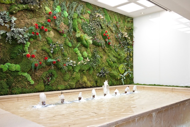 グルポテル マヨラスゴ