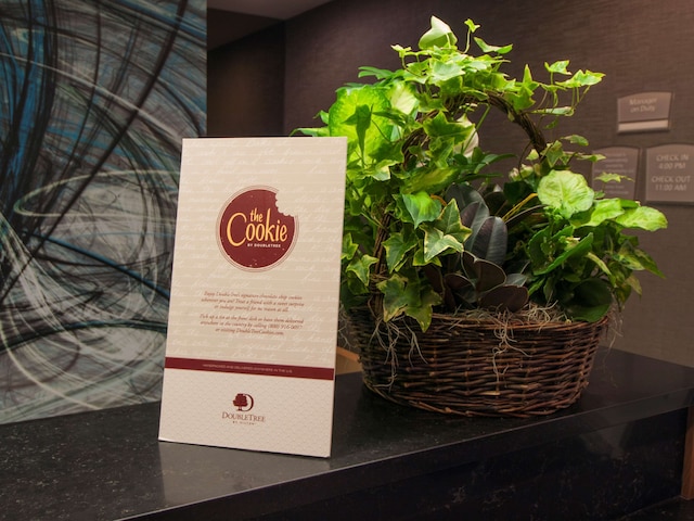 ダブルツリー バイ ヒルトン ホテル ナイアガラ フォールズ ニューヨーク