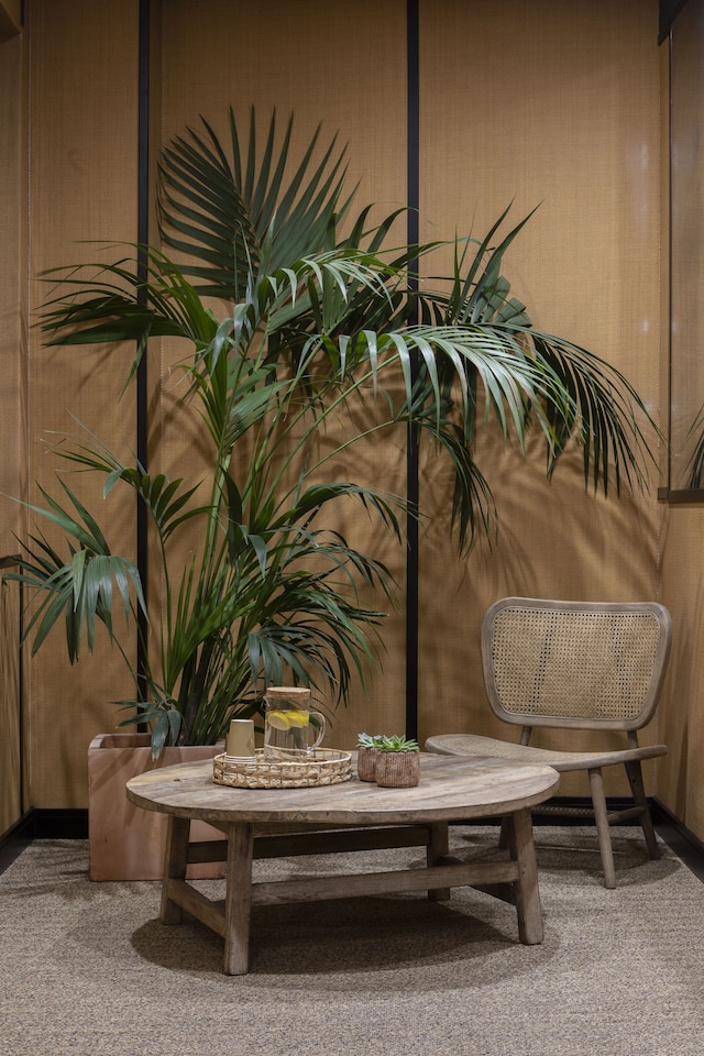 プチ パレス プレシアドス