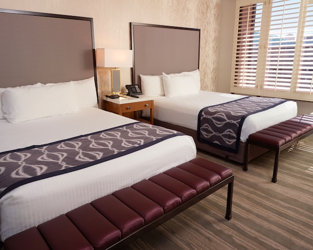 カリフォルニア ホテル アンド カジノ