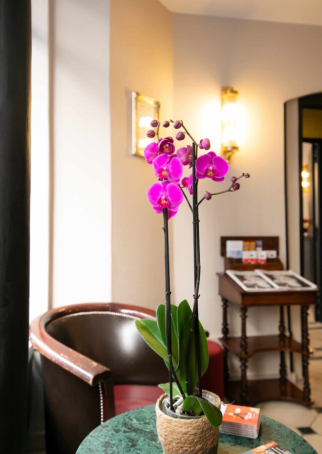 エッフェル リヴ ゴーシュ