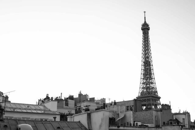 エッフェル リヴ ゴーシュ