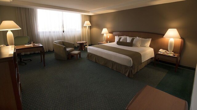 ホテル ミシオン トレオ セントロ デ コンベンシオネス