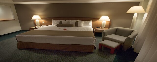 ホテル ミシオン トレオ セントロ デ コンベンシオネス