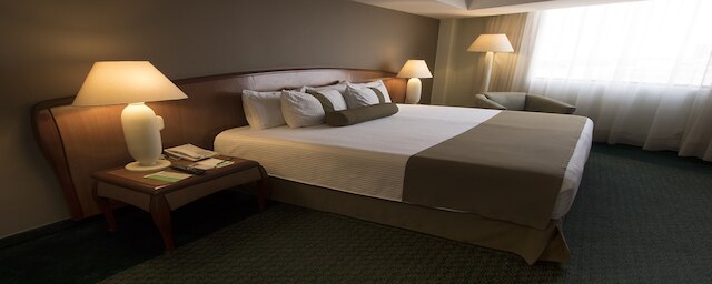 ホテル ミシオン トレオ セントロ デ コンベンシオネス