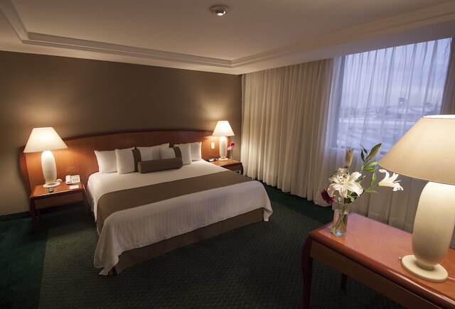 ホテル ミシオン トレオ セントロ デ コンベンシオネス