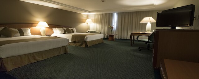 ホテル ミシオン トレオ セントロ デ コンベンシオネス