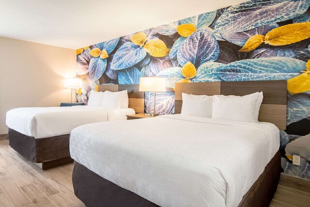 クラリオン ポイント サウス ボストン - ダンビル イースト