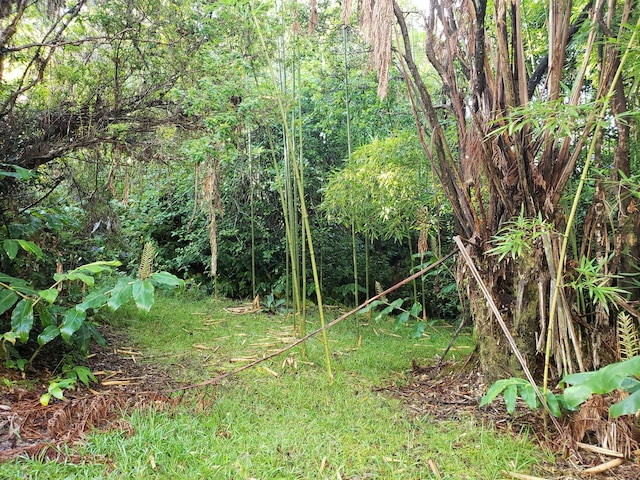 ボルケーノハレ