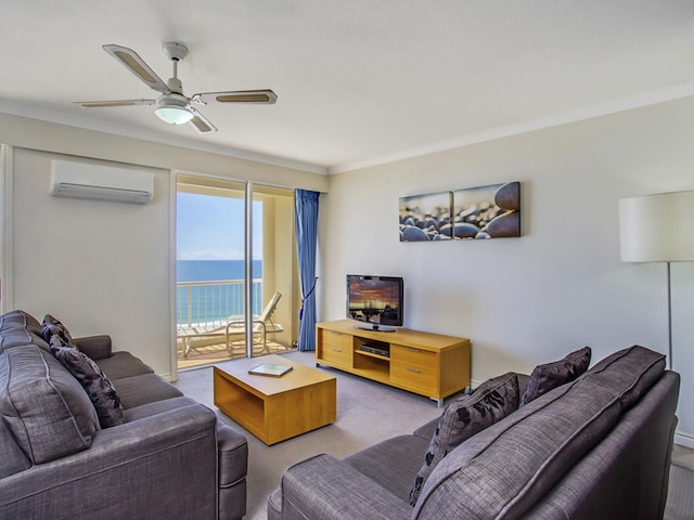 ブレイクフリー モロッカン