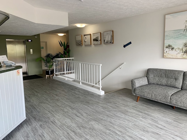 アウトリガー バーレイ