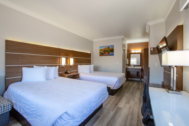 ワイルドフラワー イン アット ベル ロック