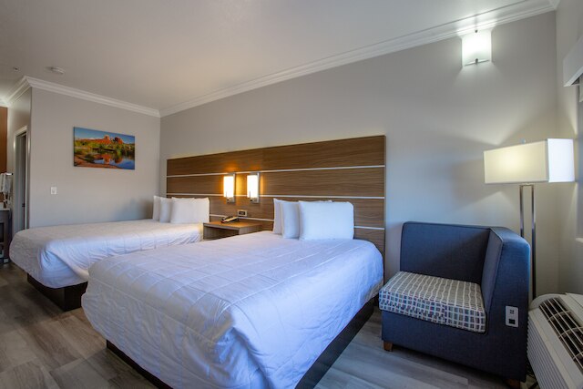 ワイルドフラワー イン アット ベル ロック