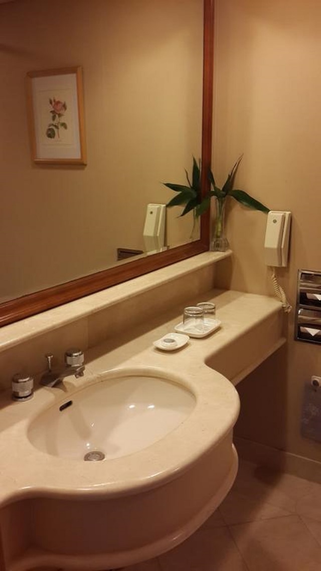 ハン シエン インターナショナル ホテル (寒軒國際大飯店)