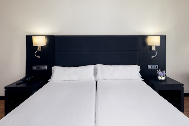 ビルヘン デ ロス レイエス オテル