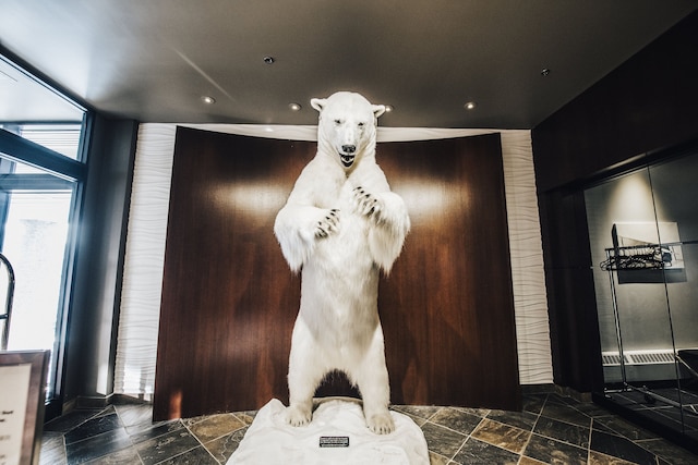 ジ エクスプローラー ホテル イエローナイフ