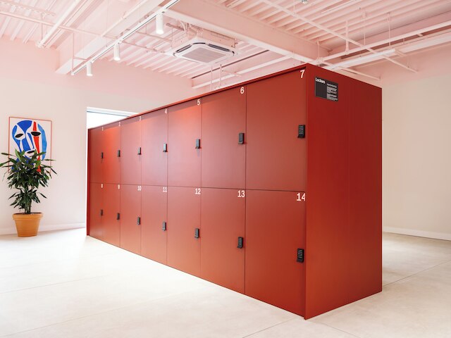 ヌマ ベルリン クダム