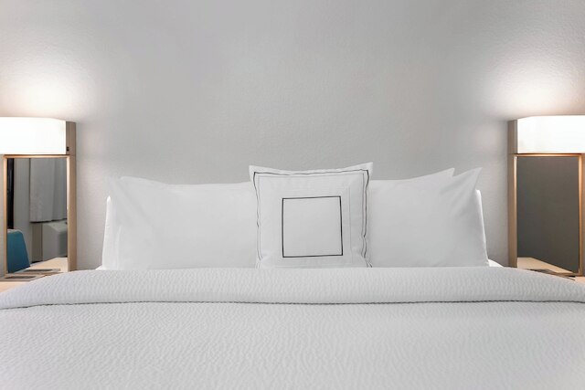 コートヤード バイ マリオット タンパ ブランドン