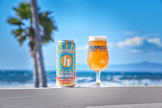 ザ ビーチ ハウス ホテル アット ハモサ ビーチ