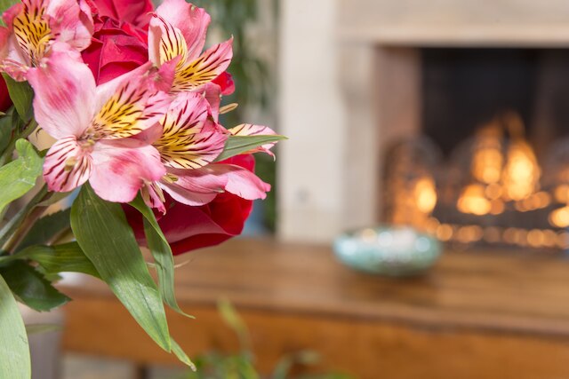 アイレスホテル ラグナ ウッズ - アリソ ヴィエホ