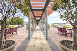 ネスト チッパンデール