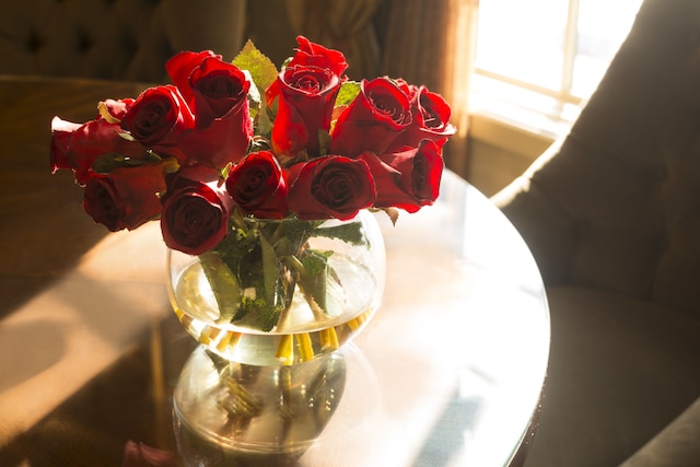 アイレス ホテル アナハイム