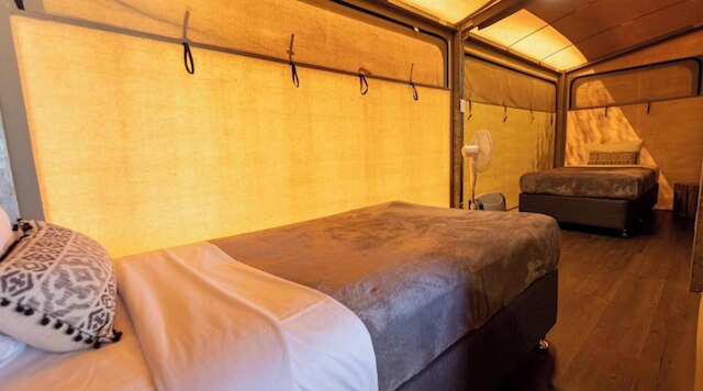 ディスカバリー リゾーツ - キングス キャニオン