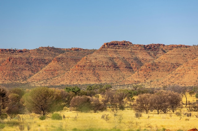 ディスカバリー リゾーツ - キングス キャニオン