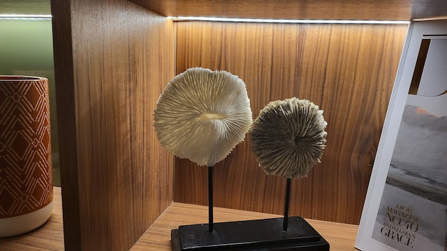 スター シャンゼリゼ