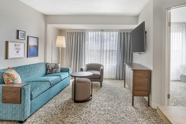 ソネスタ ES スイーツ アナハイム  リゾート エリア