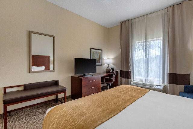 コンフォートイン & スイーツ カムデン