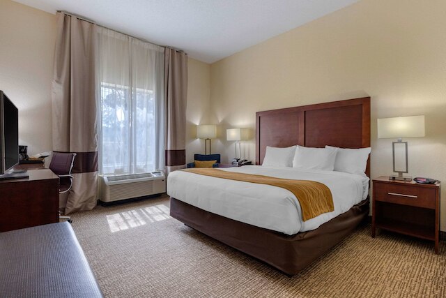 コンフォートイン & スイーツ カムデン