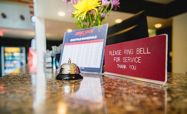 コヨーテ サウス