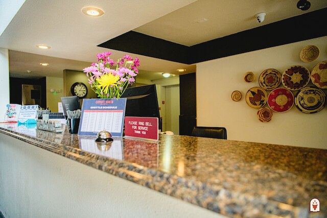 コヨーテ サウス