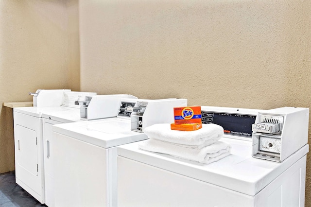 スーパー 8 バイ ウィンダム キシミー / メインゲート / オーランド エリア