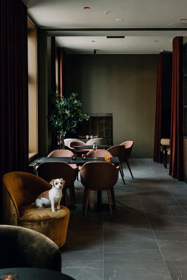 サガ ホテル オスロ, ワールドホテルズ クラフテッド