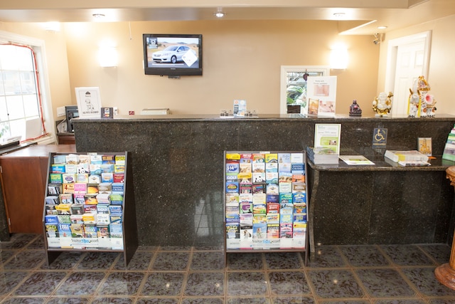 スターダスト イン