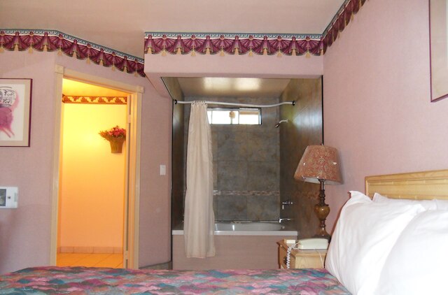 スターダスト イン