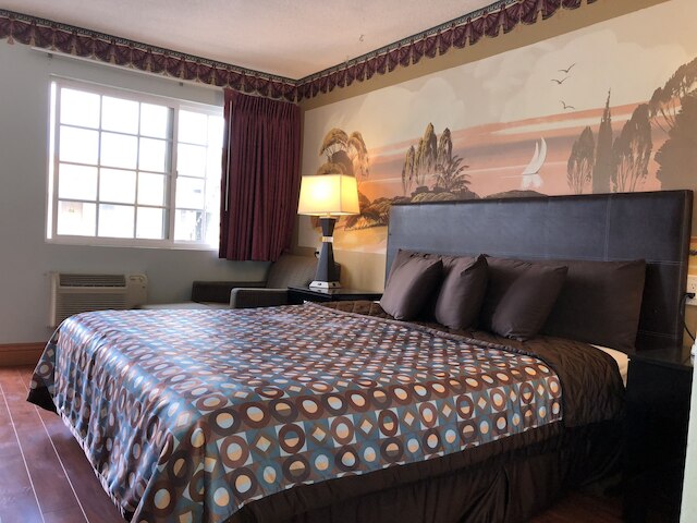 スターダスト イン