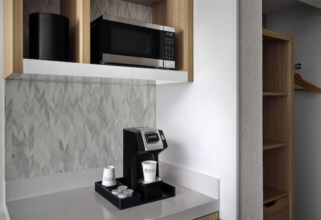 ヒルトン ガーデン イン タンパ イースト / ブランドン